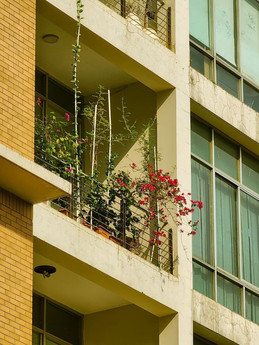 Connected Campus